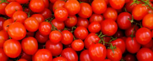 too-may-tomatoes